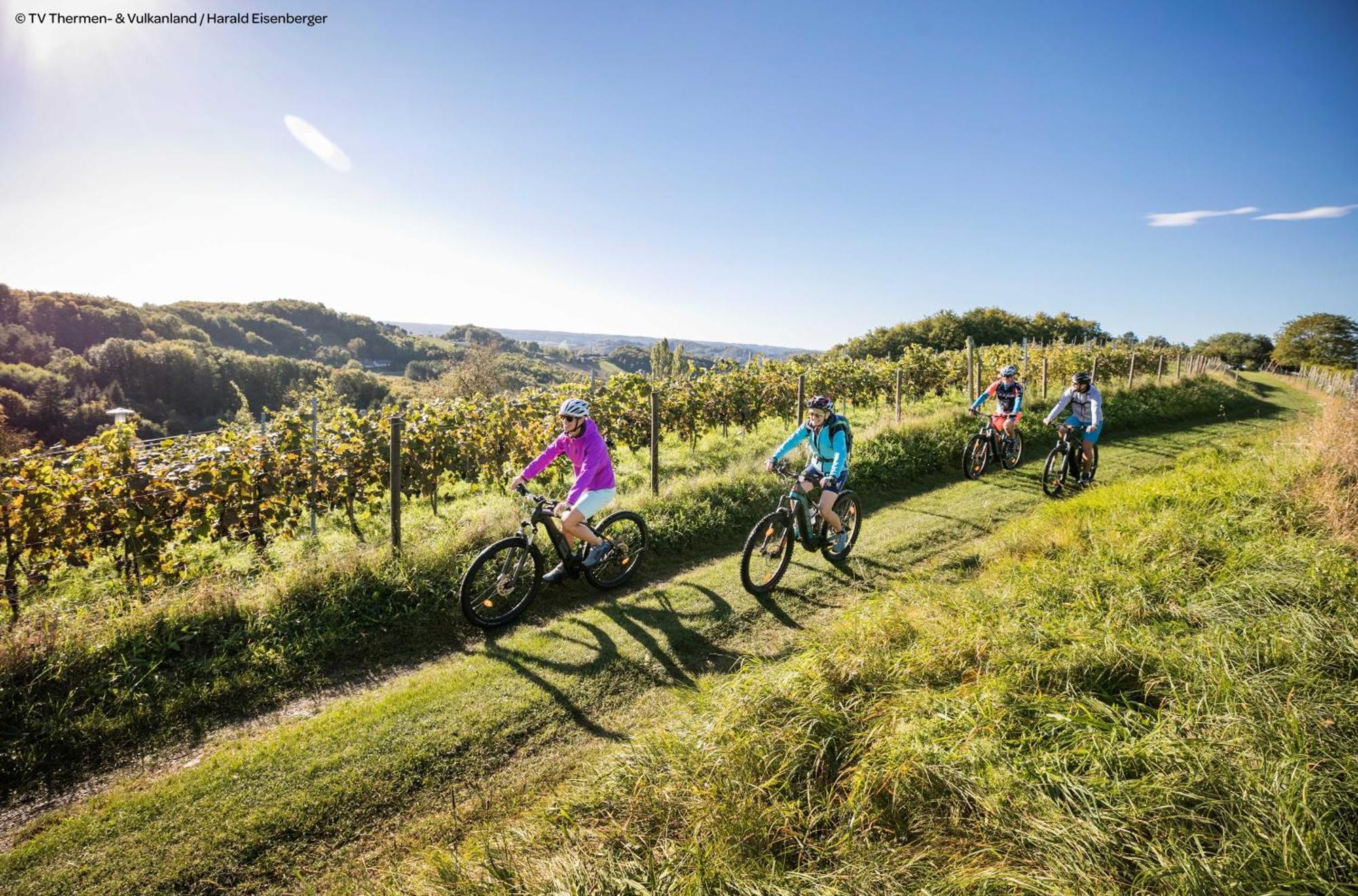 Jufa - Inkl 4h Thermeneintritt In Parktherme Bad Radkersburg